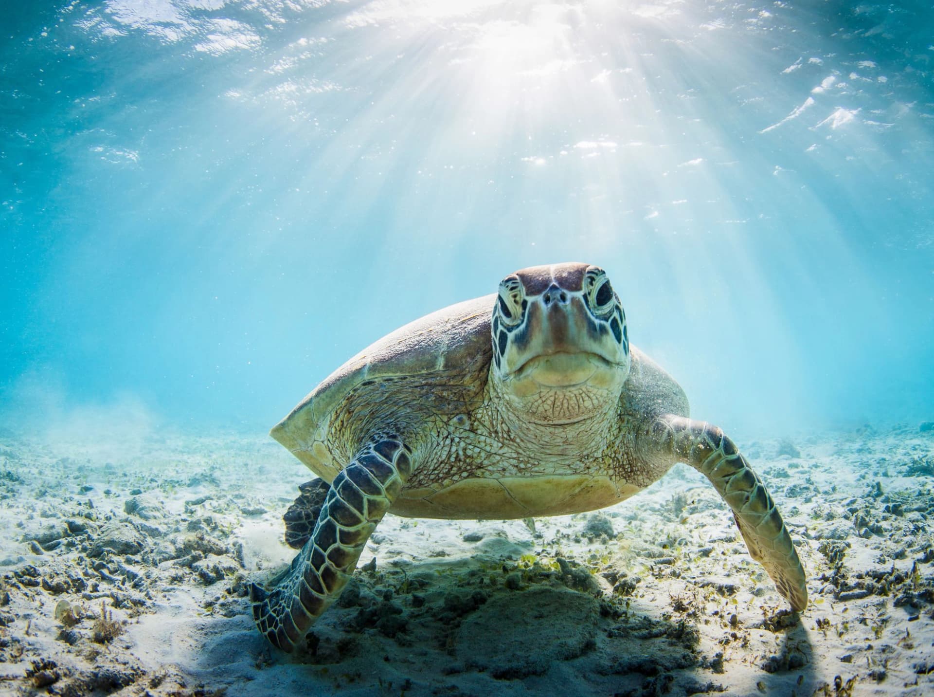 Emotique - Séances individuelles