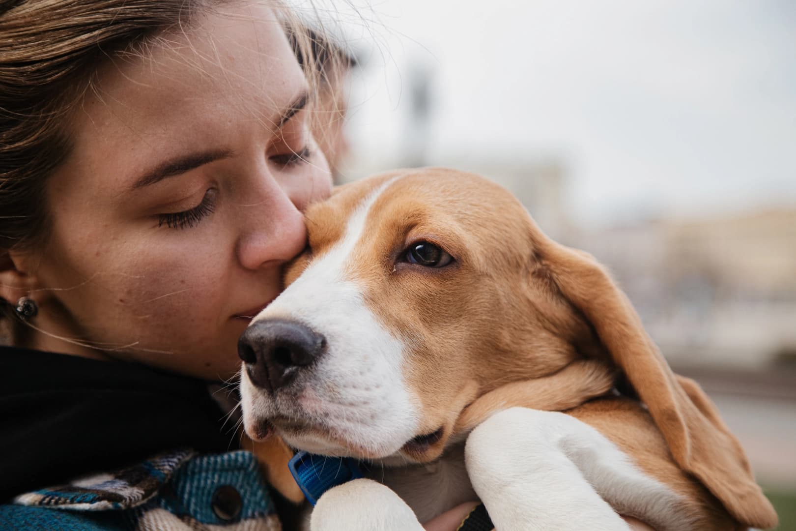 Photo de Deuil d’un animal de compagnie